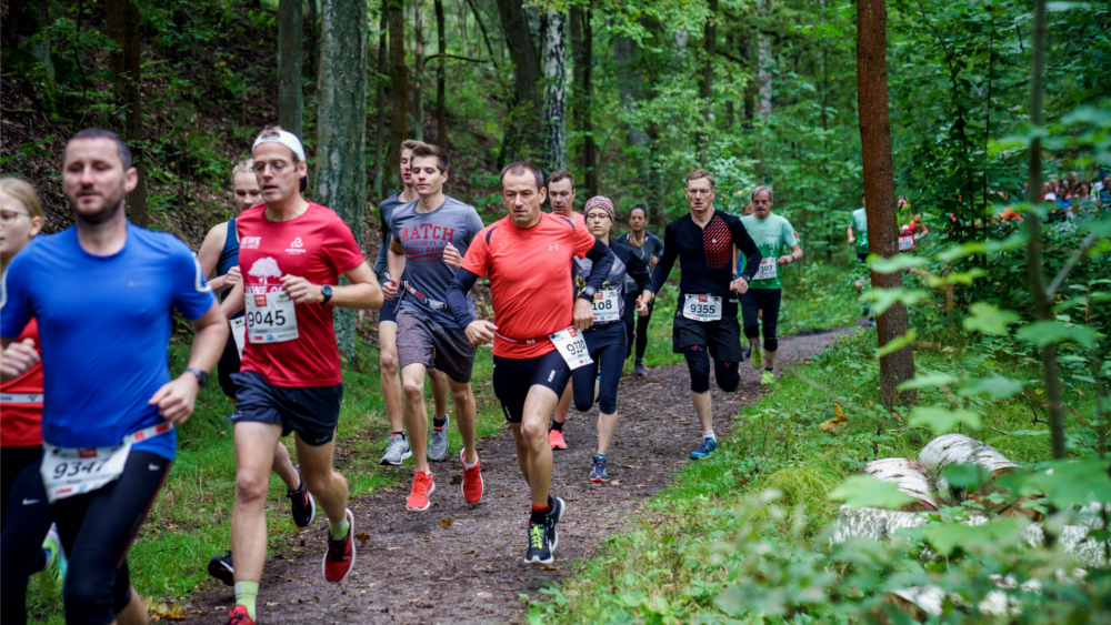 Laufbild Wald © Michael Schmidt