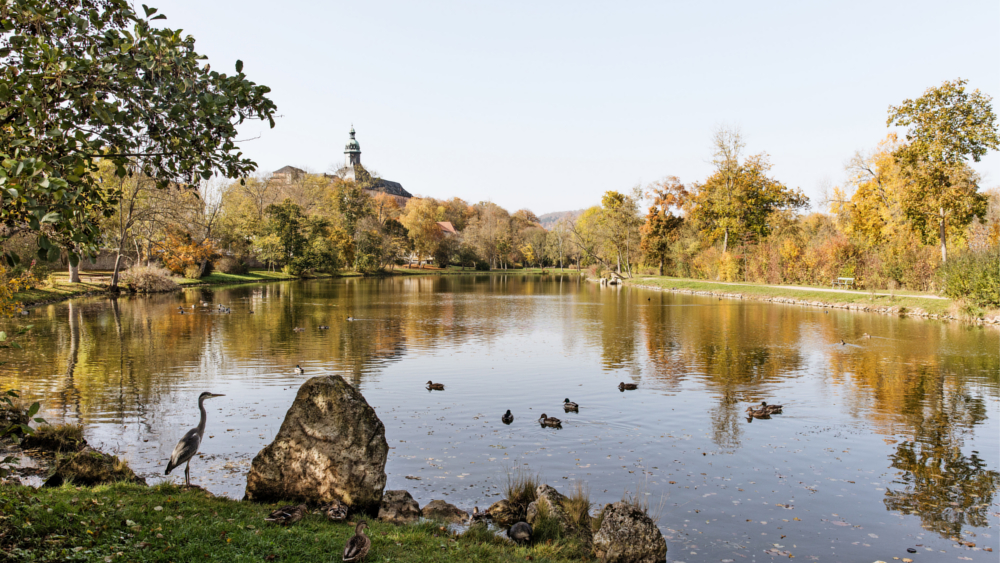 Erholung findet sich beim Wandern oder Spazieren in der umliegenden traumhaften Natur. Foto: DJD/Stadtmarketing Sondershausen/Jens Hauspurg