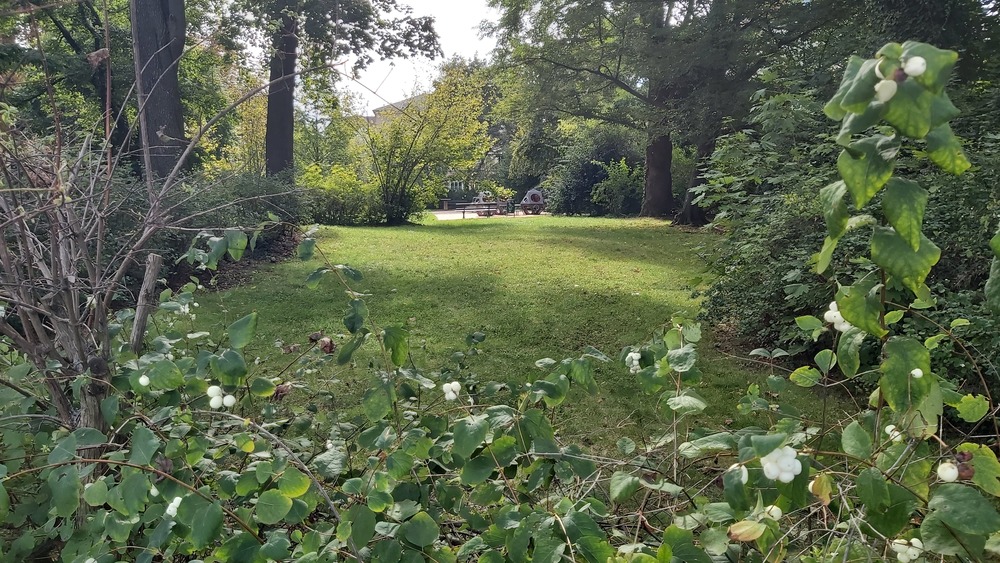 Der Dresdner Volkspark © MeiDresden.de