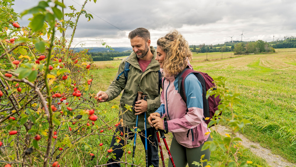 Auf dem aussichtsreichen Kammweg Erzgebirge-Vogtland reifen die Früchte des Herbstes. Foto: DJD/Tourismusverband Vogtland/Dirk Rückschloß