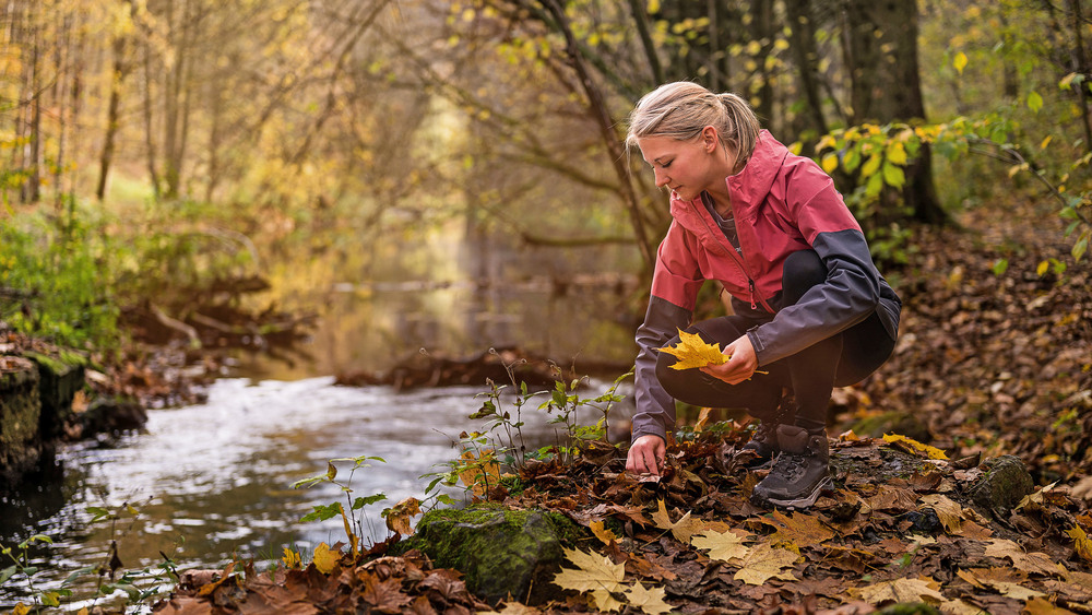 Im Herbst kommt die Natur zur Ruhe und lädt die Aktivurlauber zur besinnlichen Pausen ein. Foto: DJD/Tourismusverband Vogtland/Kenny Pool