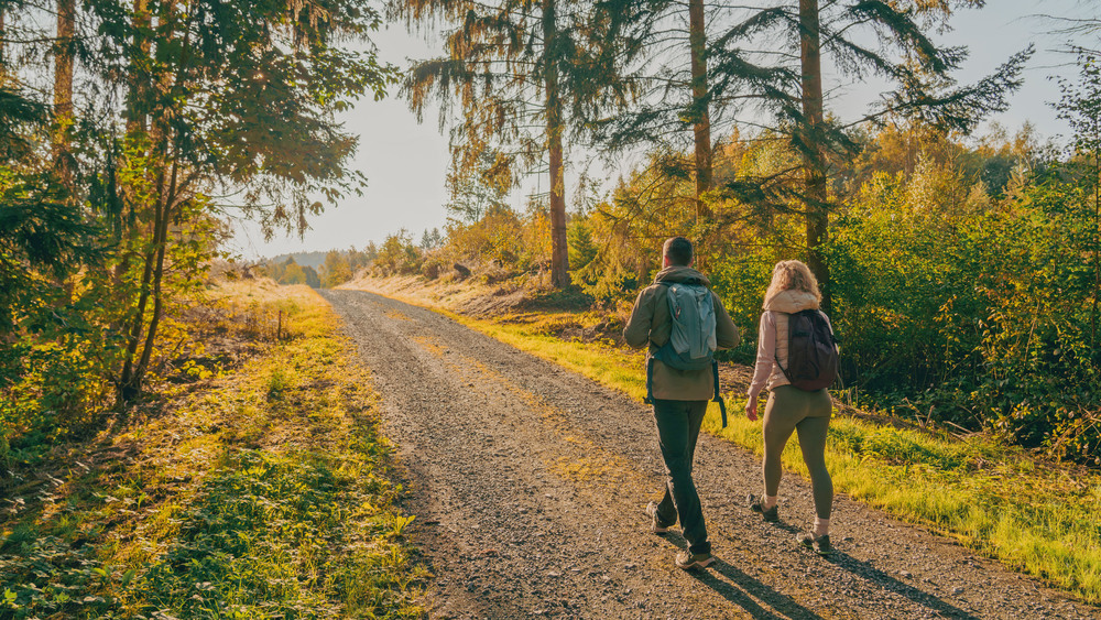 ie klare Herbstluft lässt die Wälder erstrahlen und die Fernsichten endlos erscheinen. Foto: DJD/Tourismusverband Vogtland/Dirk Rückschloß