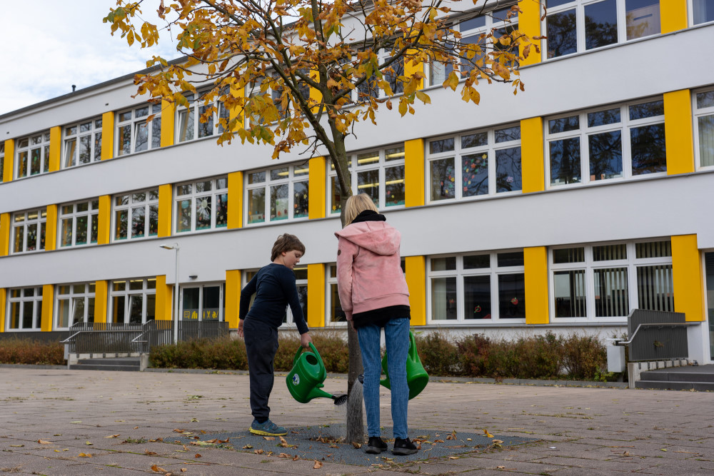 Junge Bäume stehen im Fokus der Initiative Gießkannenheldinnen Dresden    Foto: PR/Torsten Fiedler 