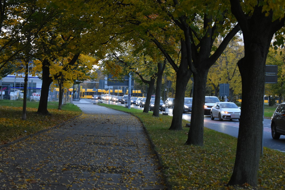 Stau bis zum Pirnaischen Platz © MeiDresden.de