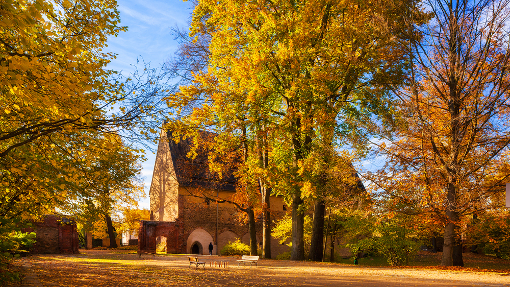 Das Konversenhaus im herbstlich buntem Klosterpark Altzella © Sylvio Dittrich