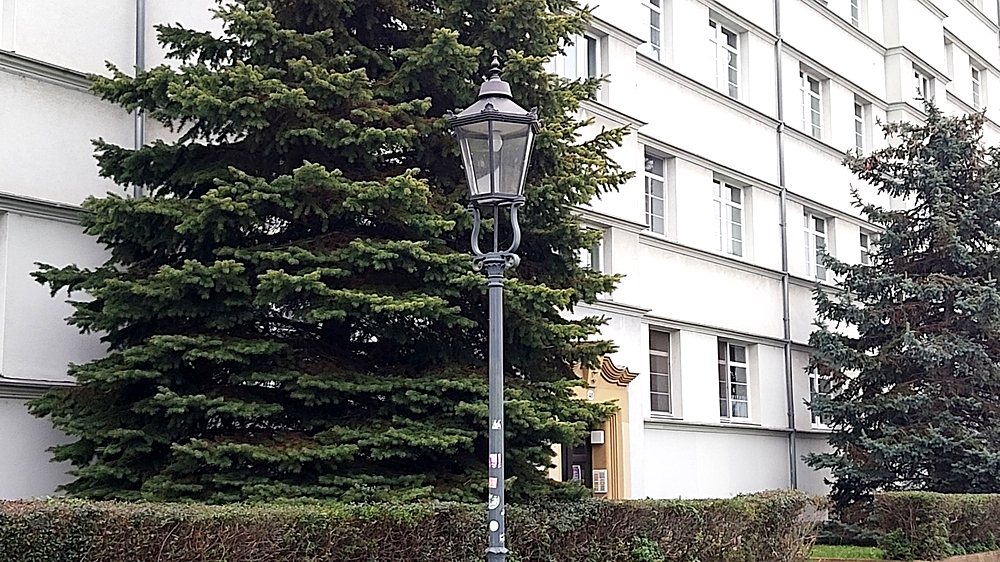 Immer mehr Straßenlaternen in Dresden werden modernisiert, wie diese Gaslaterne mit neuem Leuchtmittel. Foto. MeiDresden.de