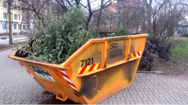 Entsorgung Weihnachtsbäume ab 27. Dezember an über 100 Containerstandorten im Stadtgebiet möglich. Foto: MeiDresden.de (Archiv)