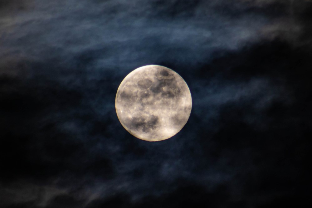 Foto: Sylvio Müller