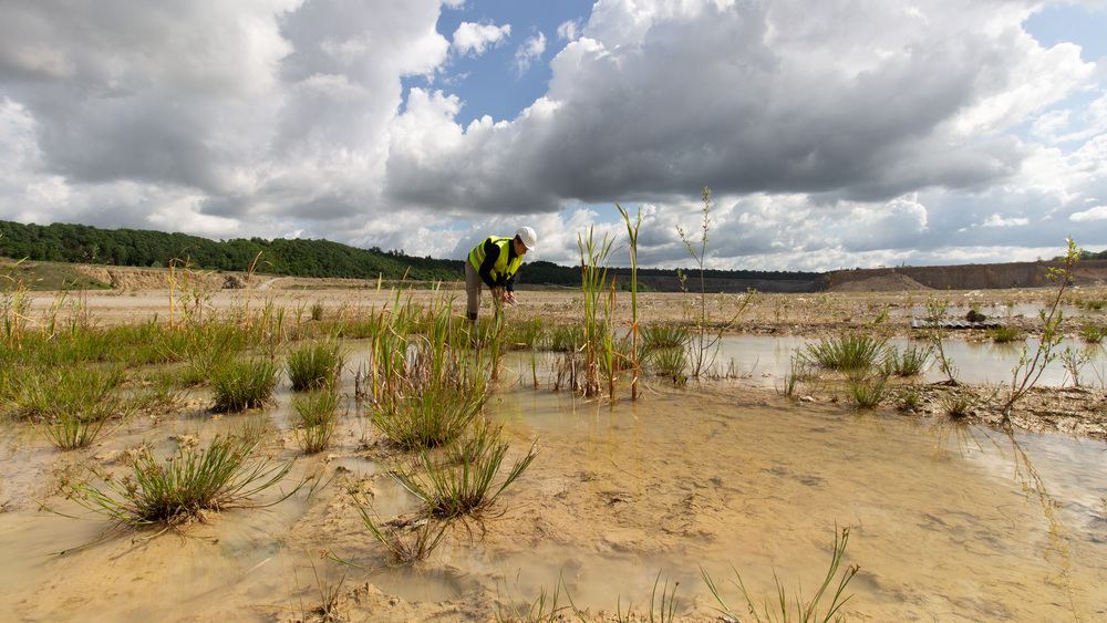 Libellenmonitoring in einem Kalksand Steinbruch. Foto :Christoph Scherber