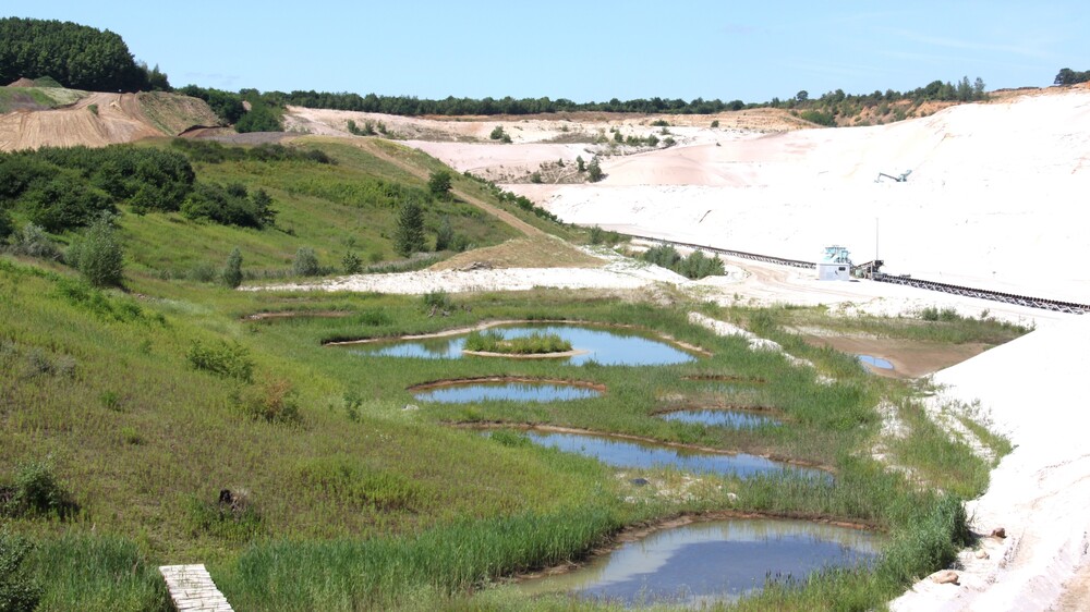 Frechen 2 Quarzsandtagebau Foto: Quarzwerke Frechen