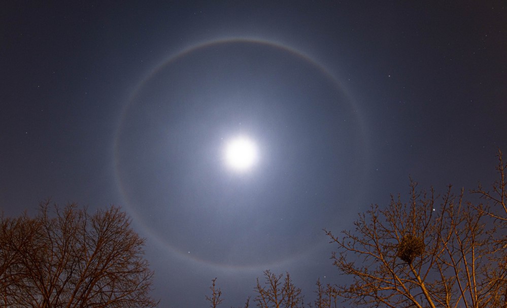 Foto: © Sylvio Müller 