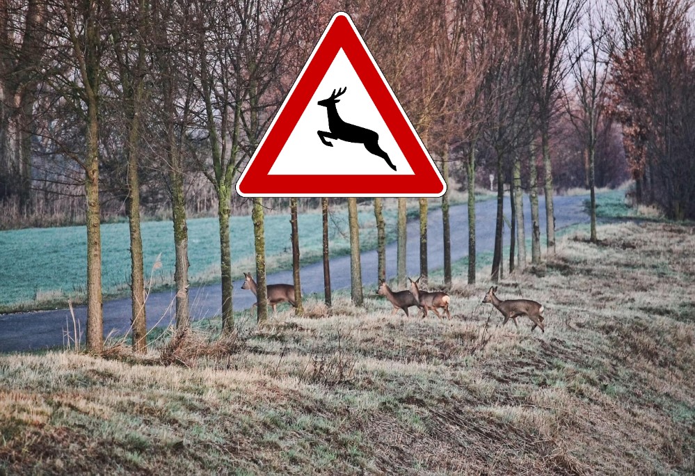 Symbolfotos Pixabay Bildmontage