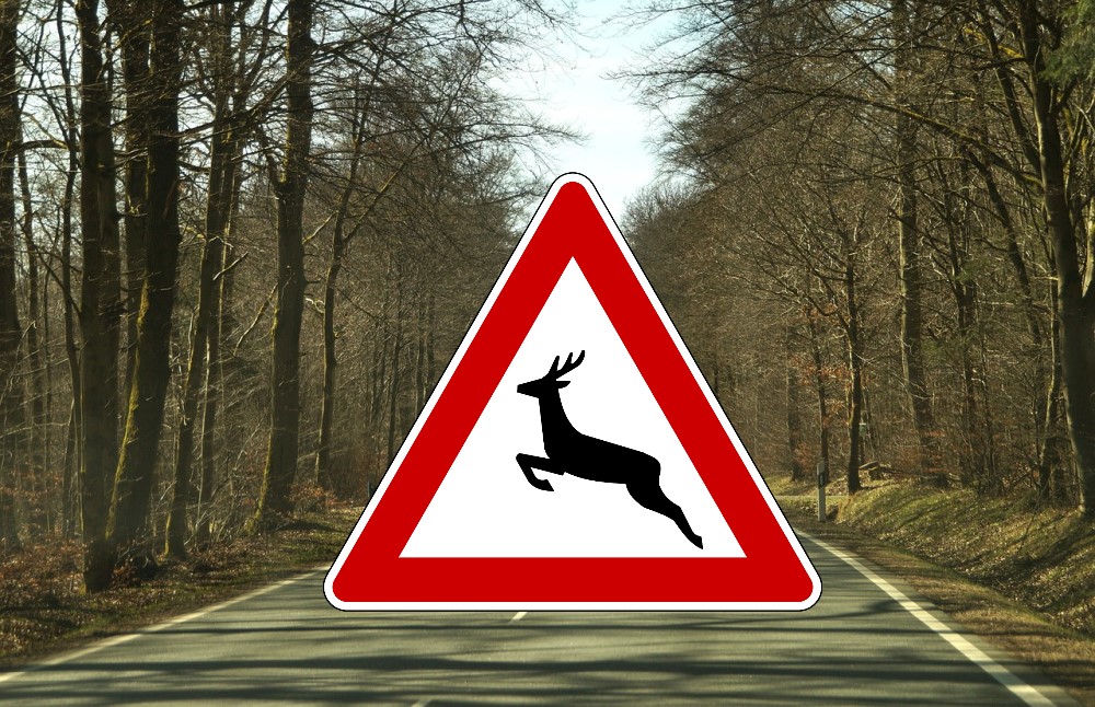 Symbolfotos Pixabay Bildmontage