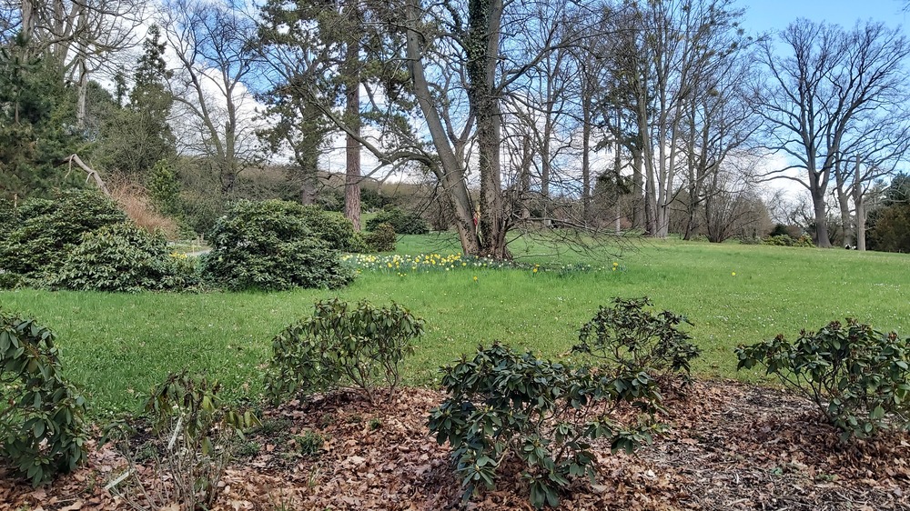 Der Schloßpark lädt zum bummeln und entspannen ein. Foto: MeiDresden.de