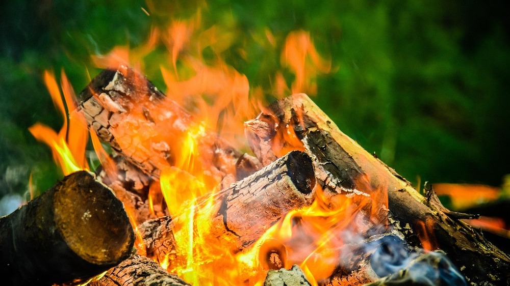 Beim Osterfeuer sollte man auch auf Tiere und Natur achten.  Symbolfoto (Pixabay)