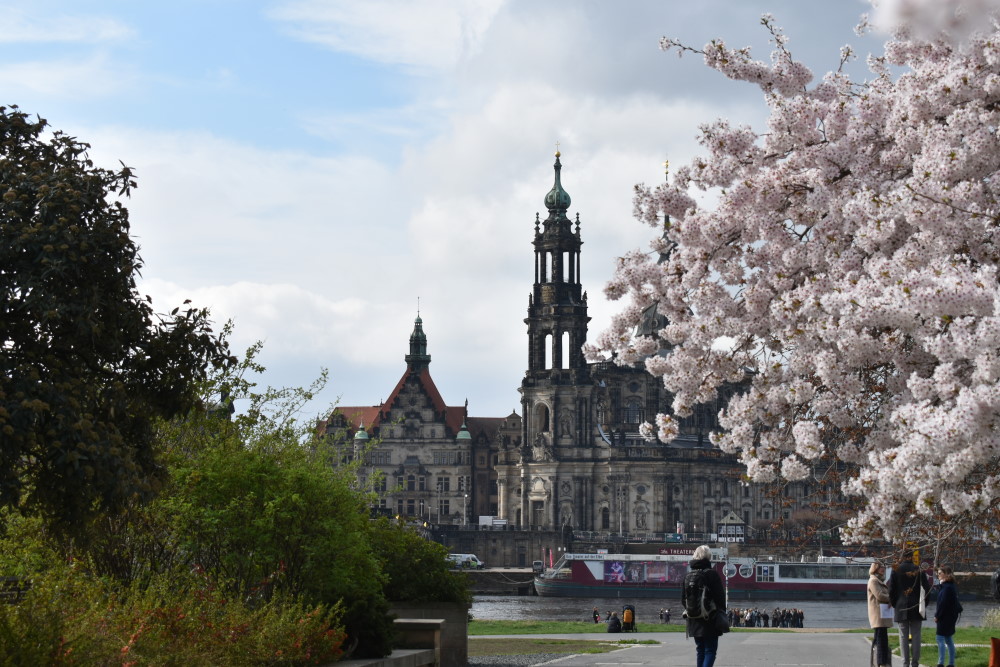 © MeiDresden.de/Mike Schiller