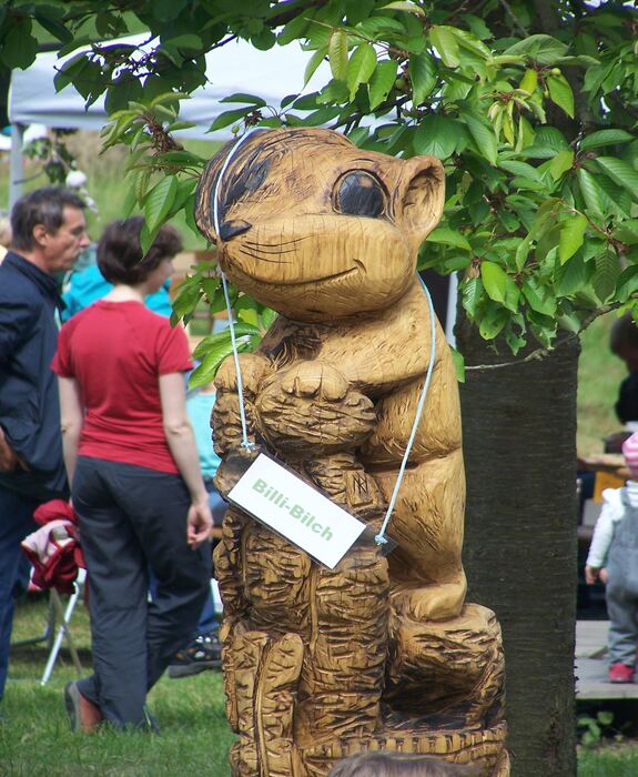 Billy Bilch ist das Maskottchen der Umweltbildung und Waldpädagogik in der Nationalparkregion Sächsische Schweiz und erwartet am Sonntag, den 15.06. wieder viele Familien mit Kindern zum Sellnitzfest am Fuße des Liliensteins. Foto: T. Schimansky