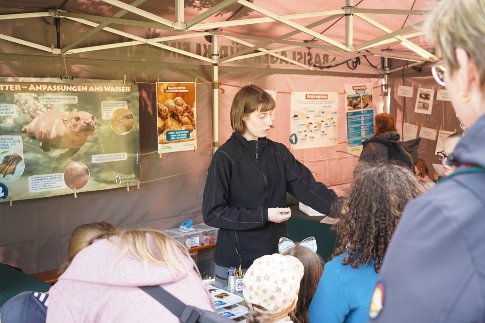 Informationsstand zum Welt Otter Tag   Foto: © Zoo Dresden