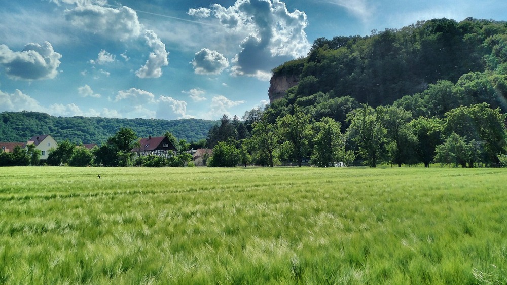Sörnewitz mit dem Boselfelsen. Foto:  Andre Beer (Pixabay) 