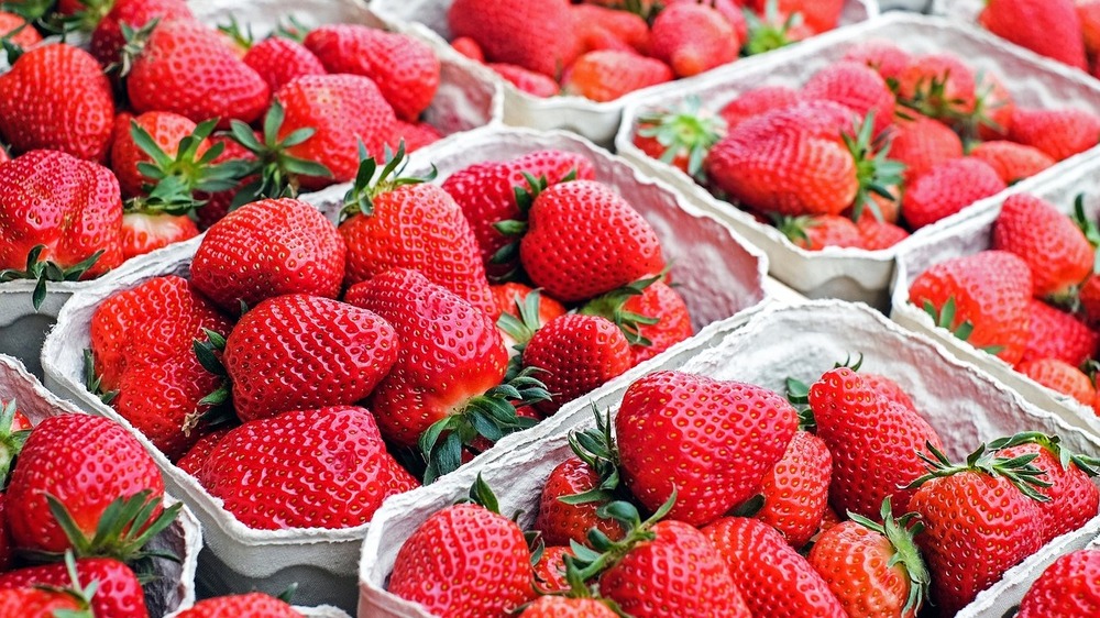 Erdbeeren im Test Bio-Früchte gewinnen den Pestizid-Check. Symbolfoto (Pixabay)