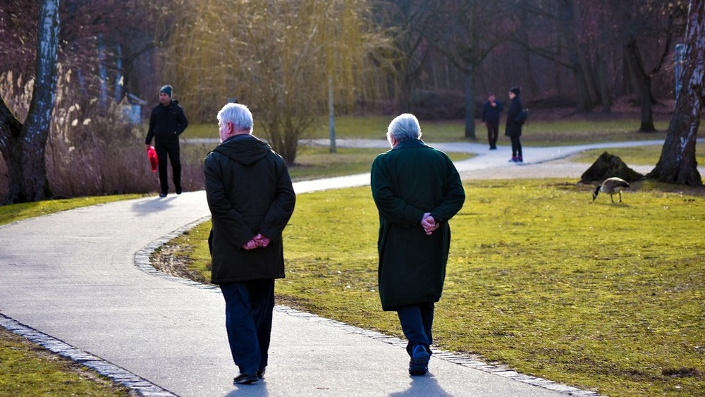 Seniorenratgeber in neuer Auflage im Landkreis Sächsische Schweiz- Osterzgebirge erschienen. Symbolfoto (Pixabay)