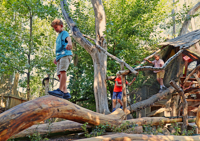 ArkaZien Baumstammklettern © Silva Pöhls/ Ziegler Spielplätze von A-Z