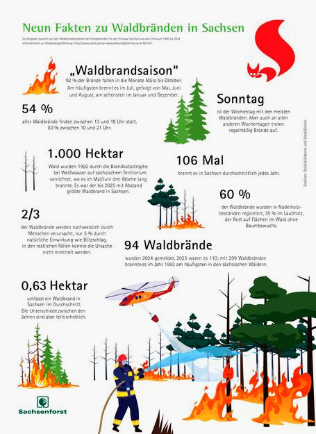 Infografik Thema Waldbrand 2025.  © Staatsbetrieb Sachsenforst