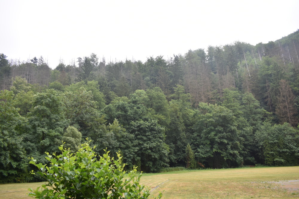 Symbolfoto © MeiDresden.de