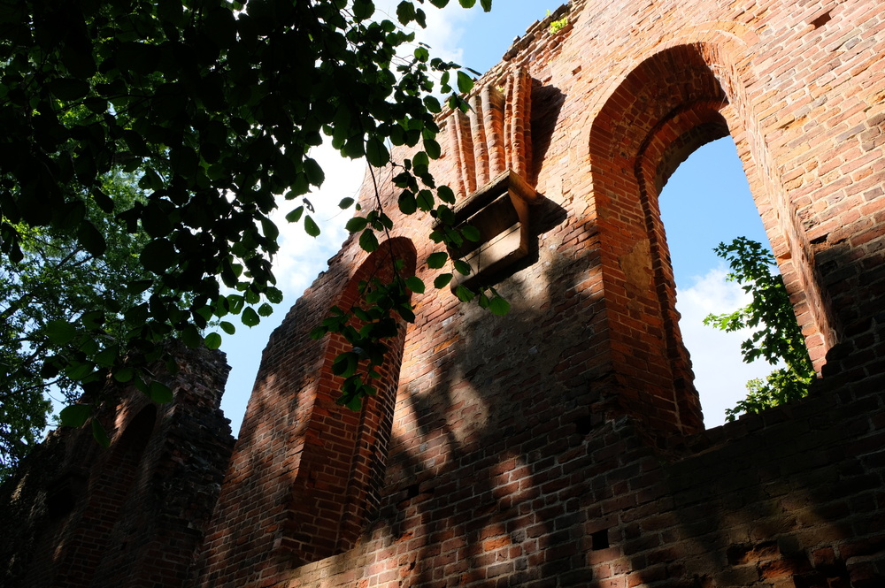 Ruine die schon Caspar David Friedrich im Klosterpark Altzella inspirierte © Juliane Schikade
