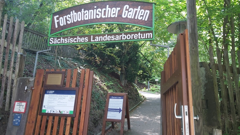 Eingang zum Forstbotanischen Garten in Tharandt. Foto: MeiDresden.de