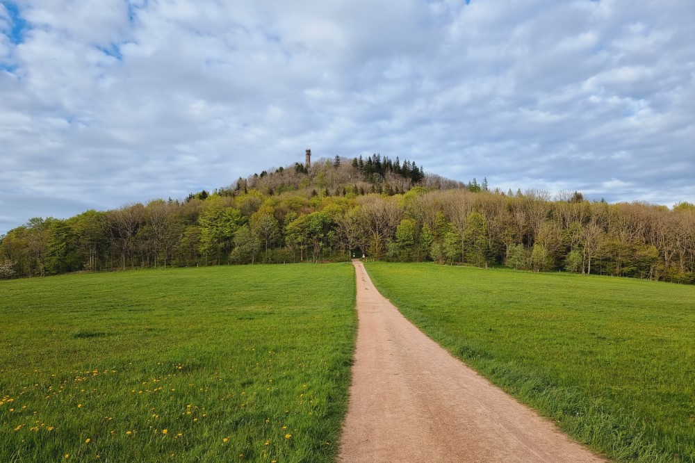 Weg zum Geisingberg   © Martin Bruch
