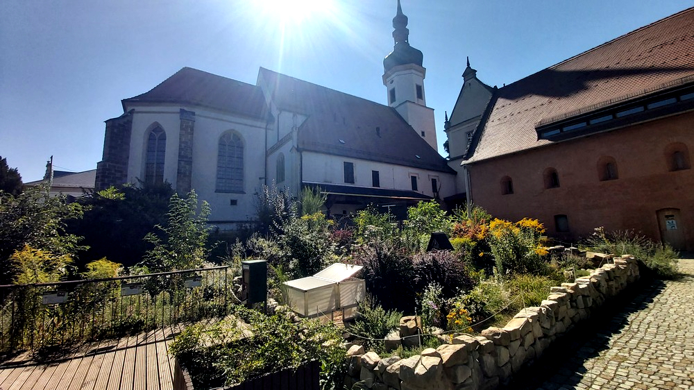 Klosterkirche und Klosterpark in Riesa. Foto: MeiDresden.de