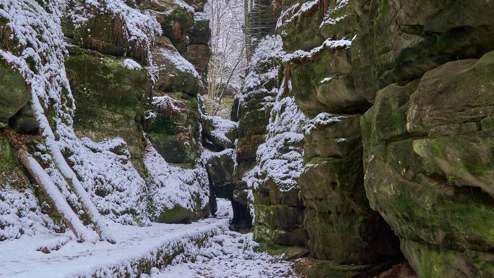 Der Utterwalder Grund mit seinem markanten Felsentor – ein beliebtes Ziel für Wanderer und Fotografen.. Foto: Yvonne Brückner