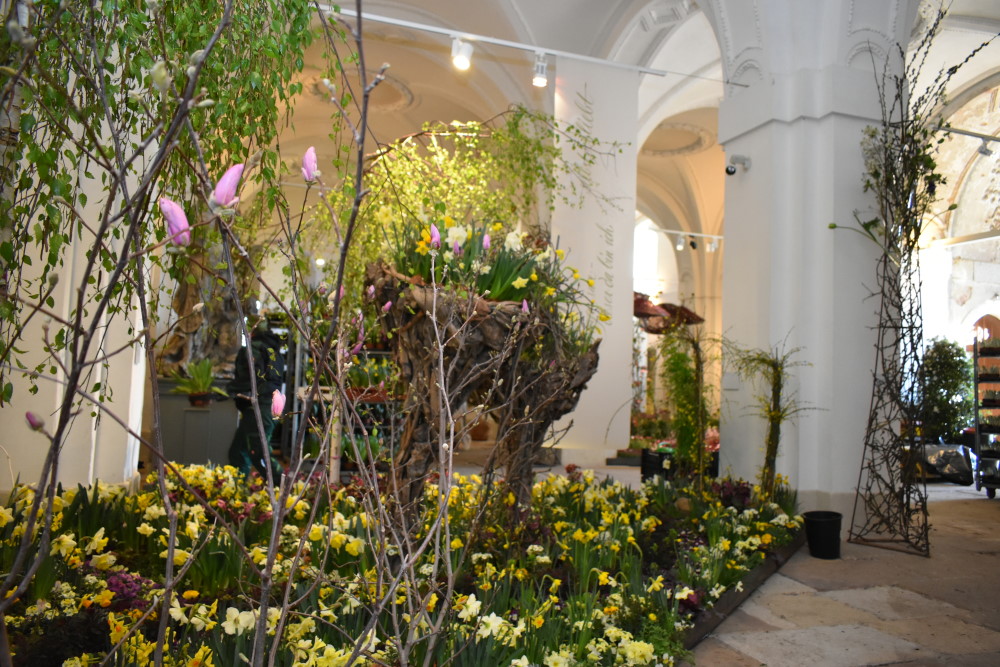 © Archiv 2023 MeiDresden.de/Mike Schiller