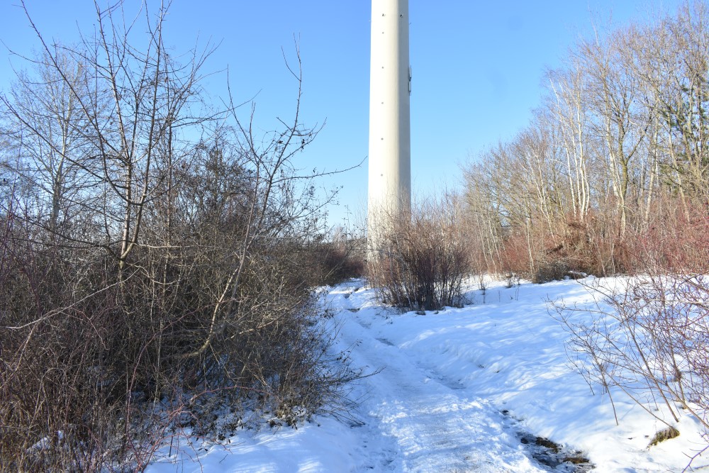 Foto: Archiv 2021 MeiDresden.de/Mike Schiller