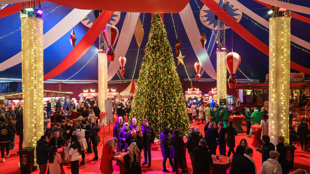 Dresdner Weihnachts Circus. Foto: Phillip Heger