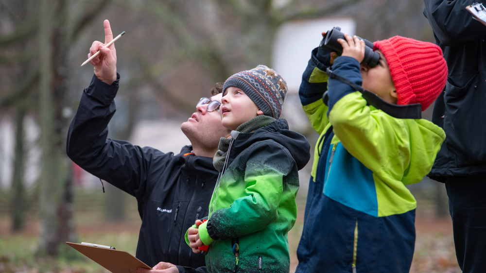 Stunde der Wintervögel: - Familie zählt Vögel  Foto: NABU/Sebastian Hennigs