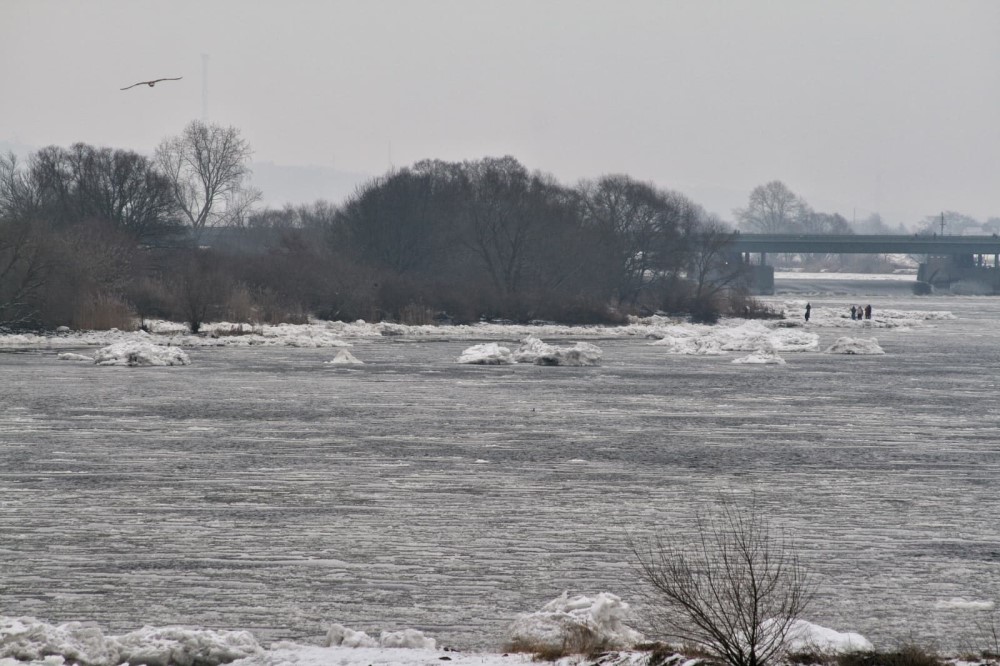 Eisberge in Geesthacht - aufgenommen vom Elbufer in Stove  Foto: Fabian/Instagram @drs.spotting