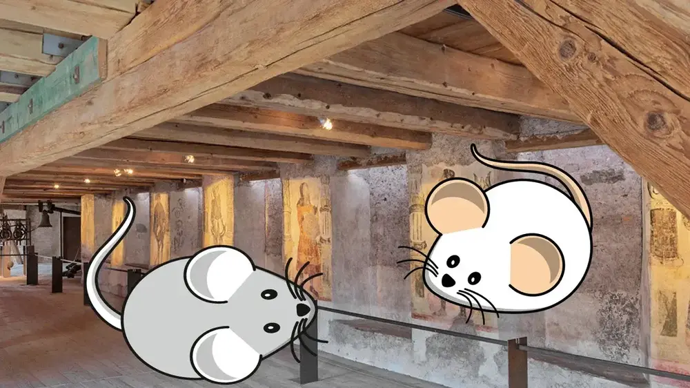 Mäusejagd © Marzella Röder/Schloss Weesenstein