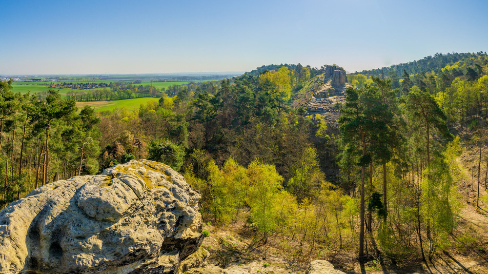 Die markanten Fünffingerfelsen in den Klusbergen waren einst eine Kultstätte. Foto: DJD/Tourist Information Halberstadt/Stefan Herfurth