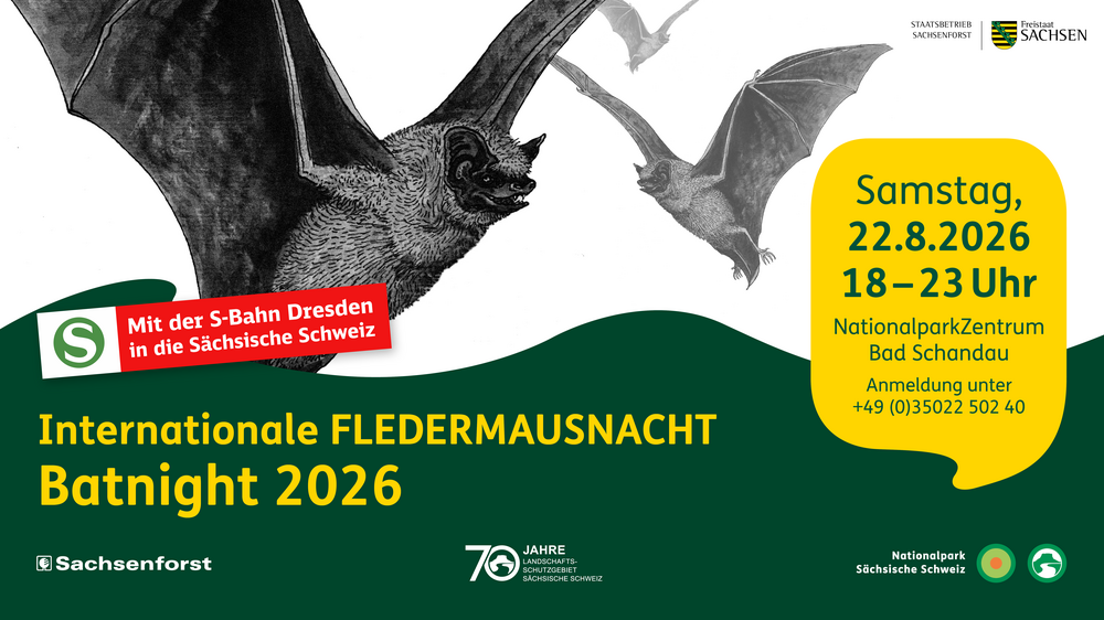 Batnight  2026 im Nationalparkzentrum. Foto: Staatsbetrieb Sachsenforst