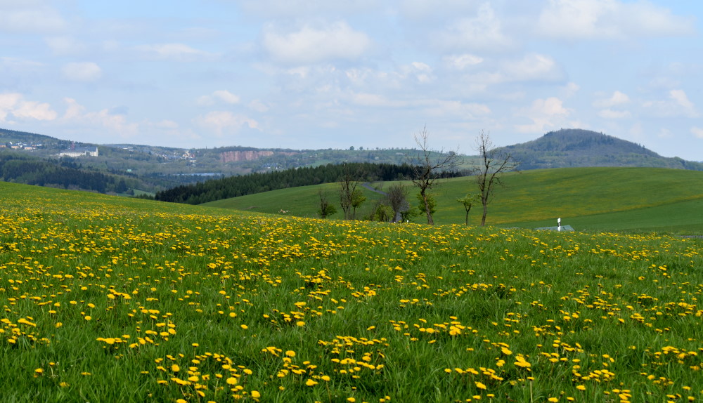 Meist sonnig mit angenehmen Temperaturen, nachts relativ kühl ©MeiDresden.de