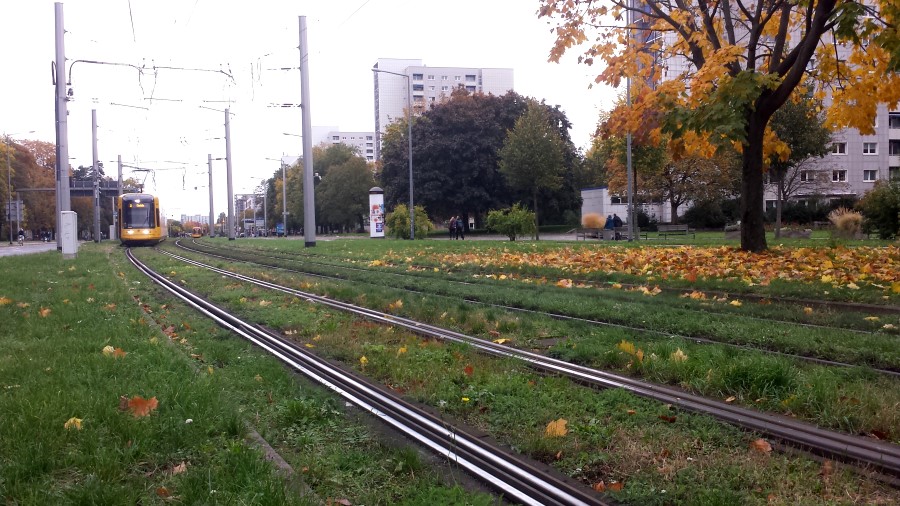 Bahnen am PirnaischerPlatz  Foto: © MeiDresden.de/Frank Loose